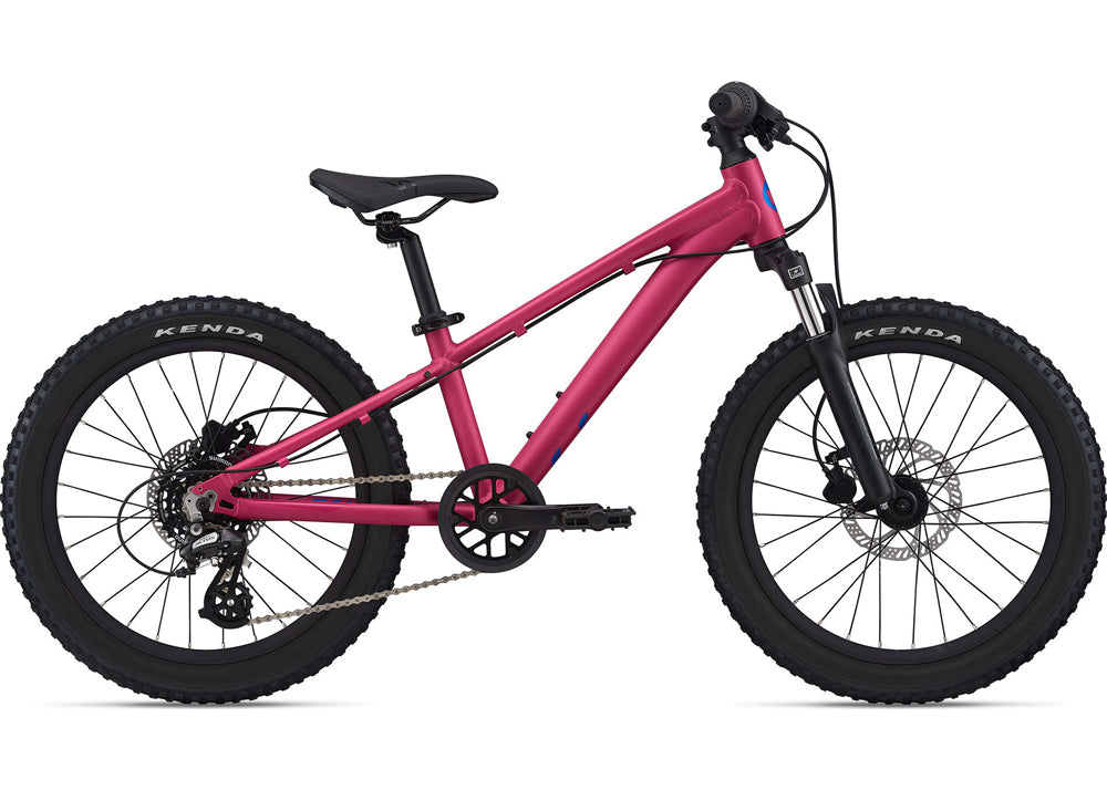 Giant girls mountain deals bike