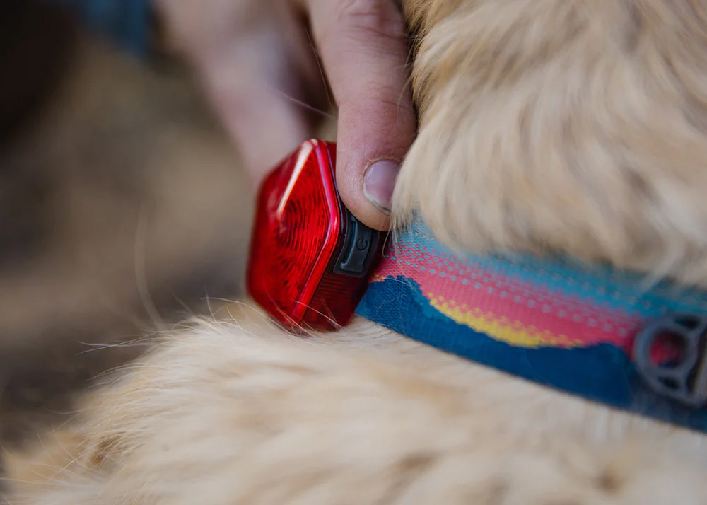 Ruffwear Audible Beacon Safety Light