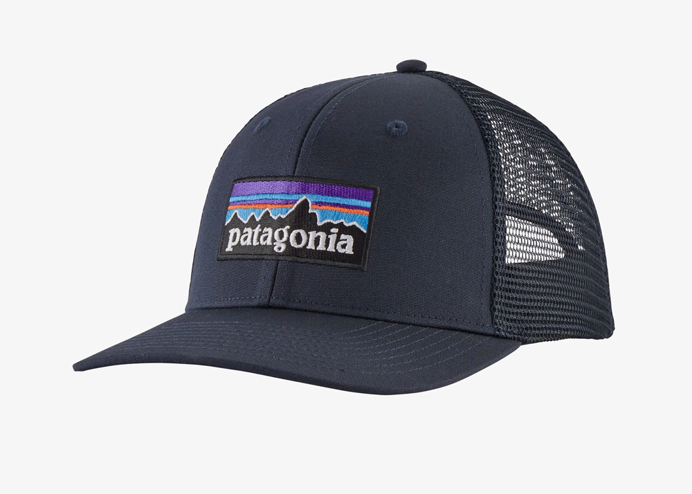 Patagonia Take A Stand Trucker Hat All Home Water Bear Brown